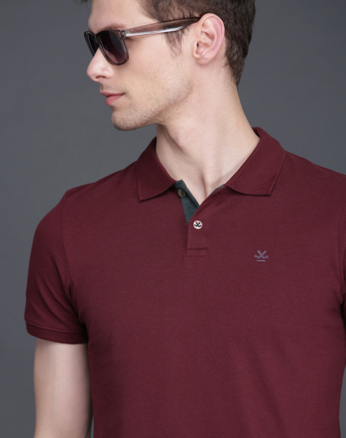 屏幕截图 2026-07-25 163840 Men Maroon Solid Slim Fit Polo Collar Cotton T-shirt - Image 1